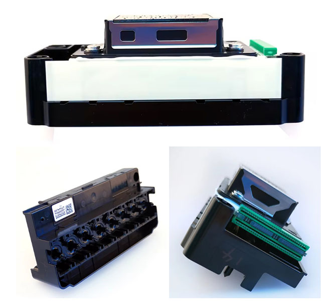 Conector verde del cabezal de impresión Epson DX5