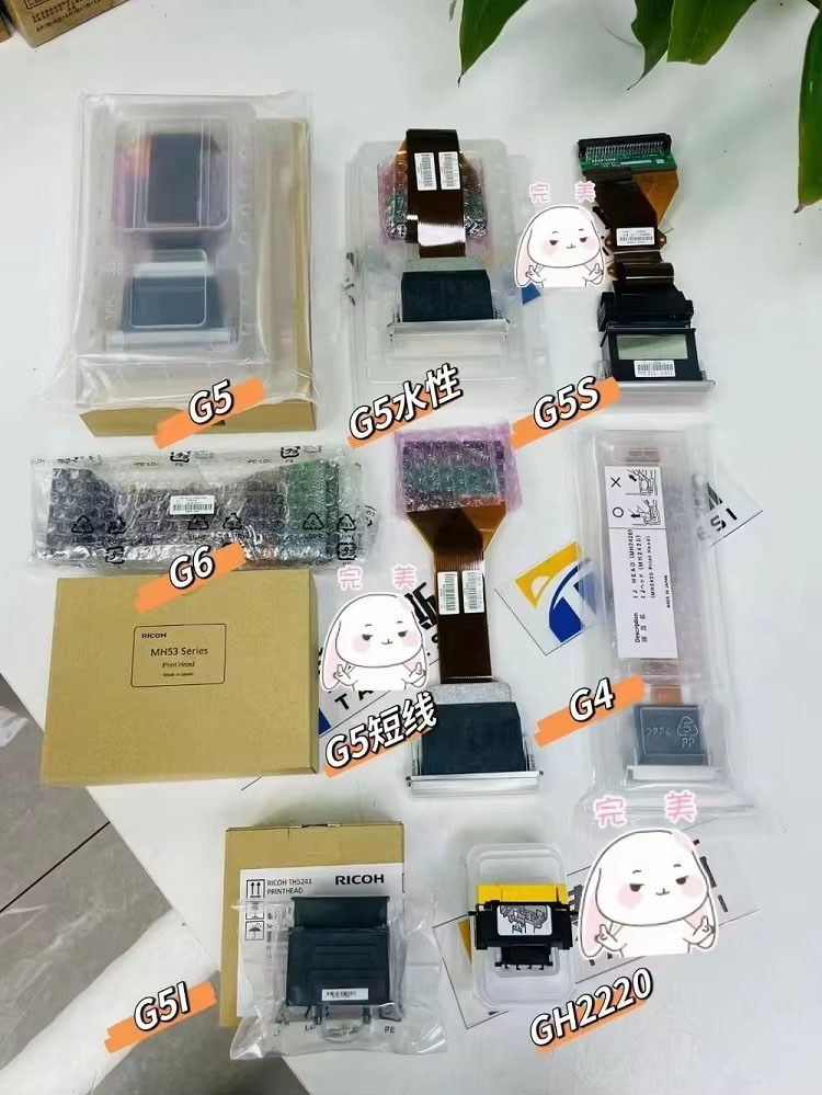 Cabezal de impresión Ricoh GH2220